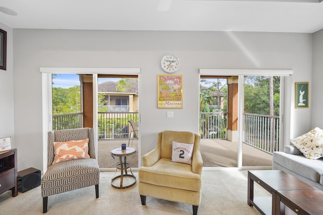 living area with carpet and plenty of natural light