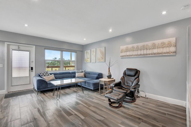 living room featuring hardwood / wood-style floors