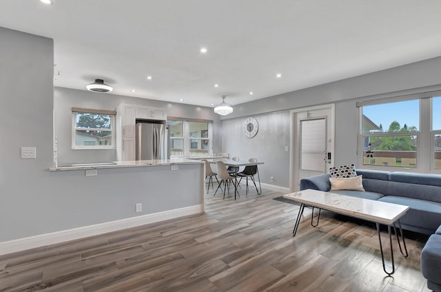 living room featuring wood-type flooring