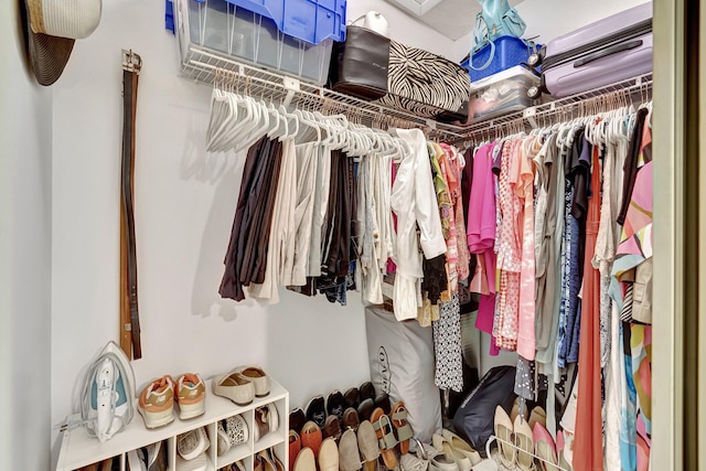 view of spacious closet