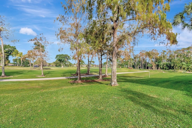 view of home's community with a lawn