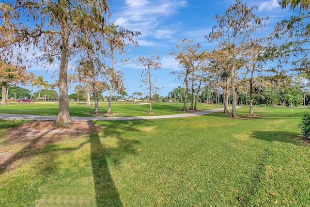 view of property's community with a yard