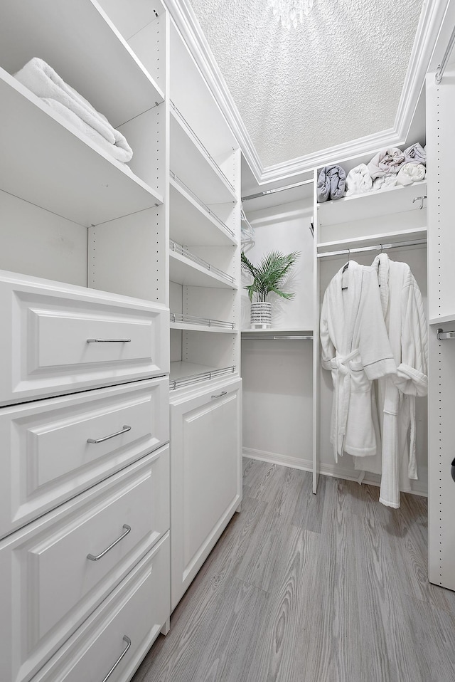 walk in closet featuring light hardwood / wood-style floors