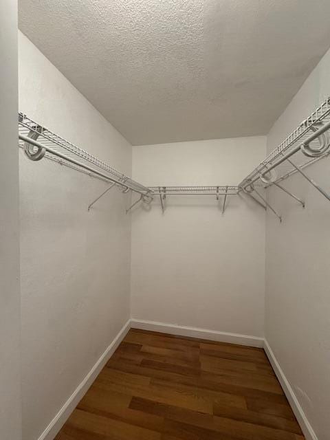 spacious closet with dark hardwood / wood-style flooring