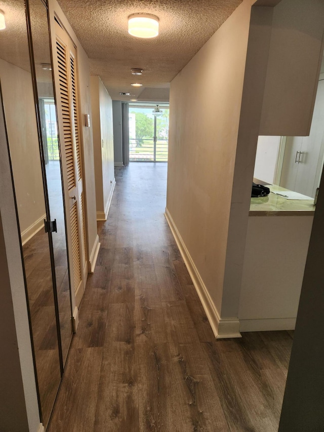 corridor with dark hardwood / wood-style flooring and a textured ceiling