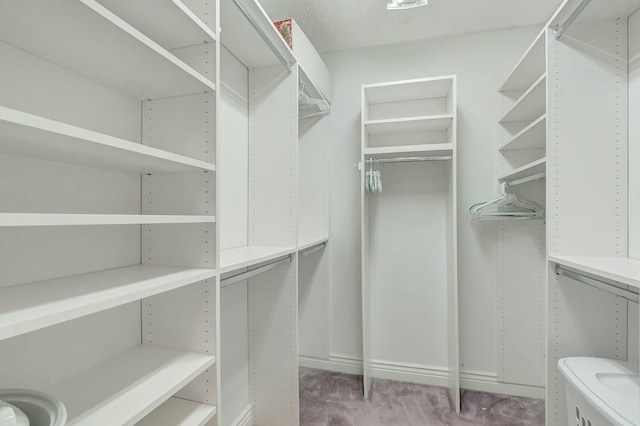 spacious closet featuring carpet flooring