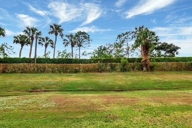 view of yard