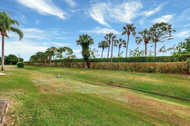 view of home's community featuring a yard