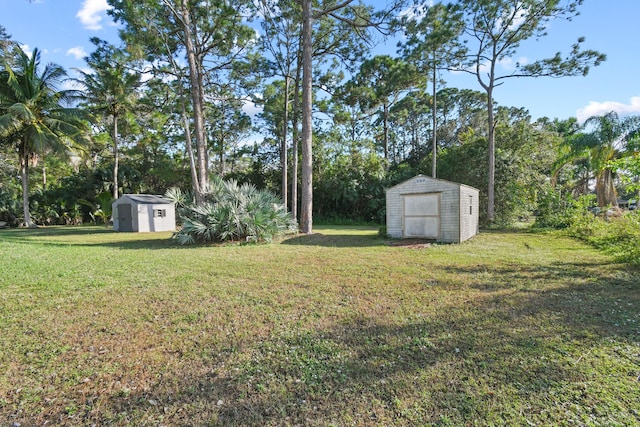 view of yard with a shed