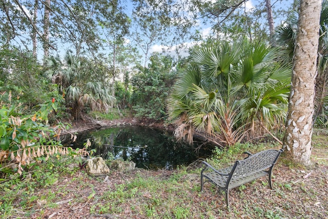 view of yard featuring a water view