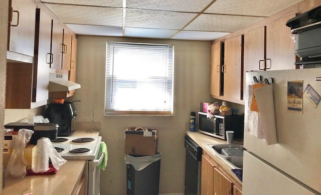 kitchen featuring sink, a drop ceiling, white appliances, and ventilation hood