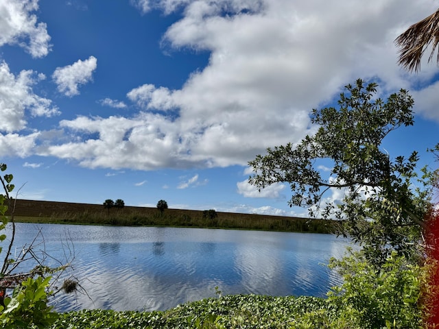 property view of water