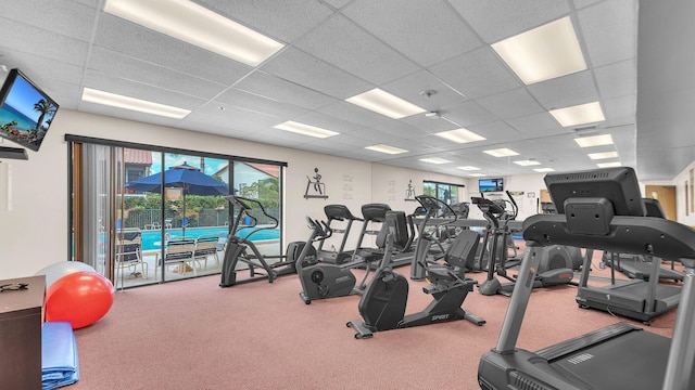 exercise room featuring carpet and a drop ceiling