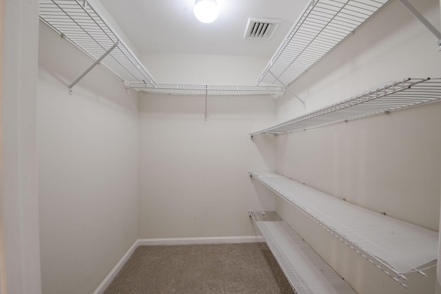 spacious closet with carpet