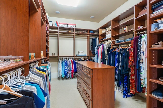 spacious closet with light colored carpet