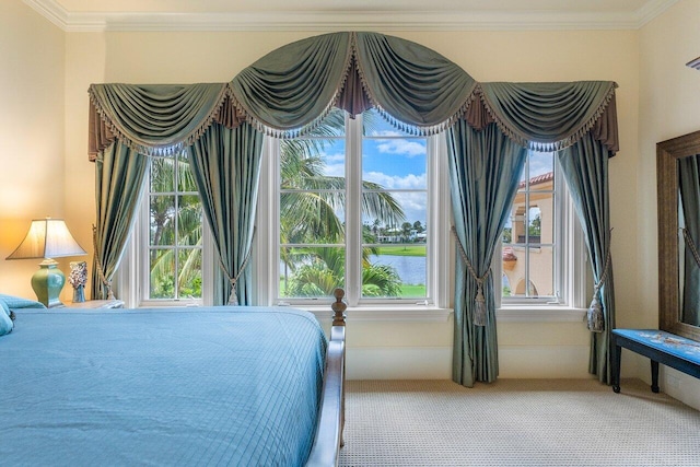 bedroom with carpet flooring, multiple windows, and ornamental molding