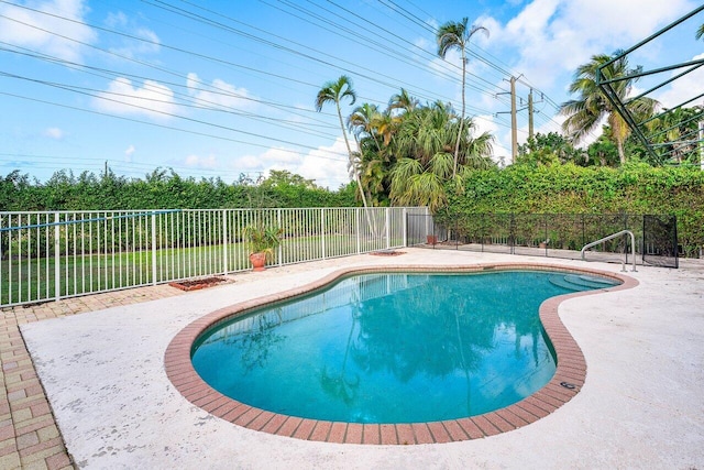 view of swimming pool with a patio area