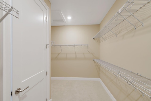 spacious closet featuring carpet floors