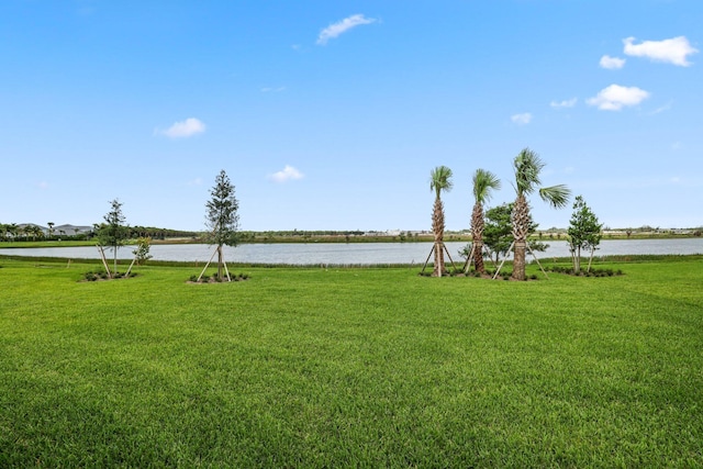 view of yard featuring a water view