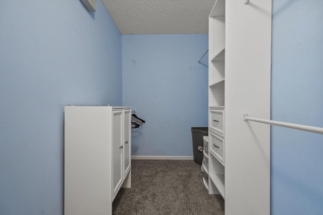 spacious closet with dark colored carpet