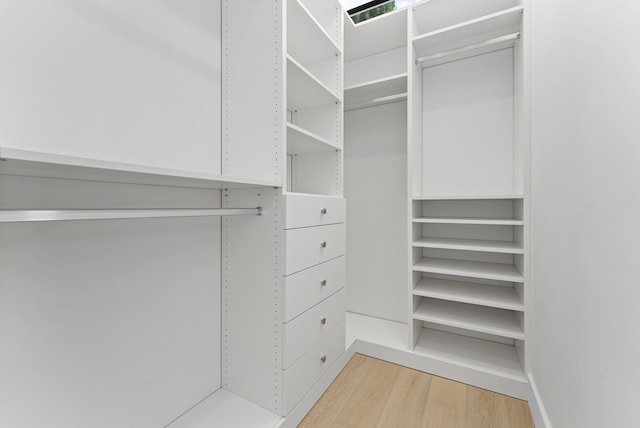 walk in closet with hardwood / wood-style flooring