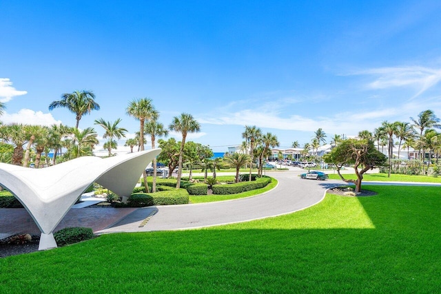 view of home's community with a lawn