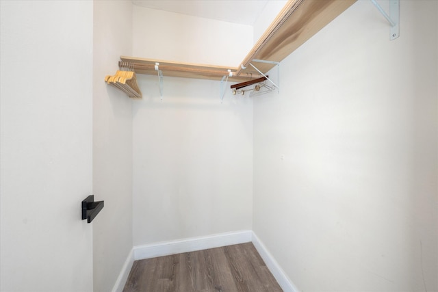 spacious closet featuring wood-type flooring