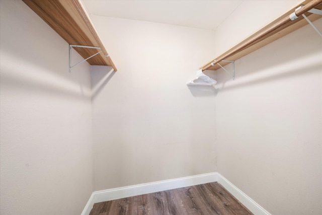 walk in closet with hardwood / wood-style floors