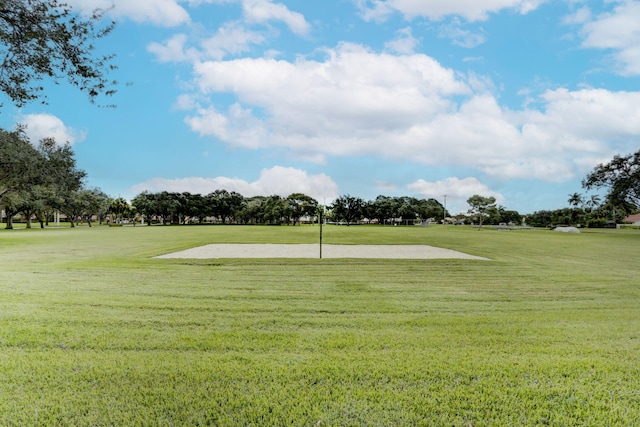 view of community with a yard