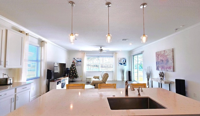 kitchen with crown molding, light stone counters, a healthy amount of sunlight, and sink