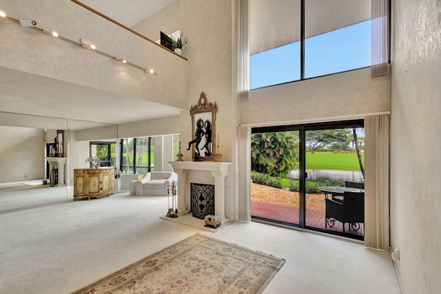 carpeted living room with a high ceiling, rail lighting, and a wealth of natural light