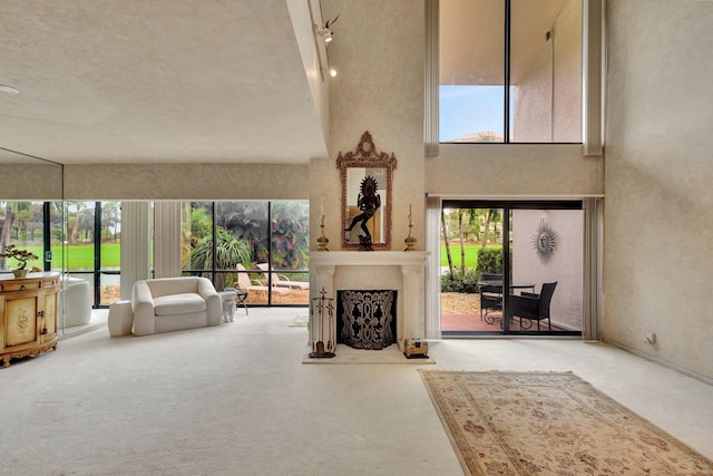 living room with carpet floors and a high ceiling