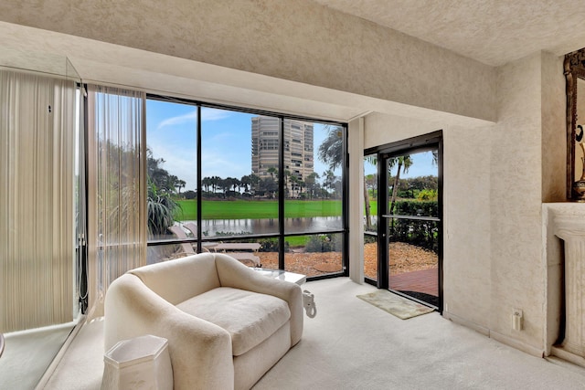 living area featuring a water view, a healthy amount of sunlight, and light colored carpet