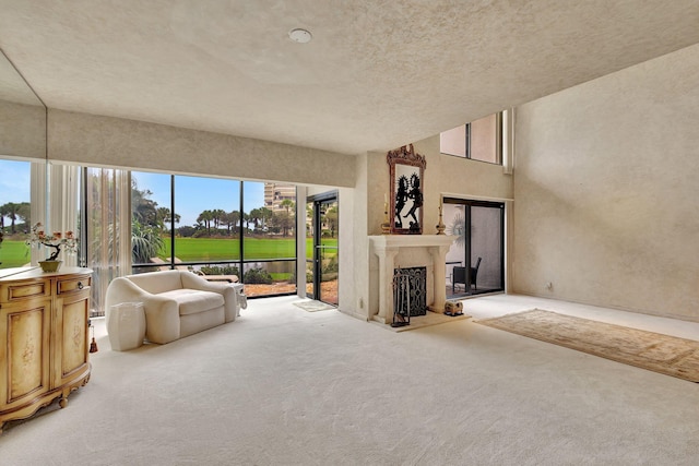 unfurnished living room with light colored carpet