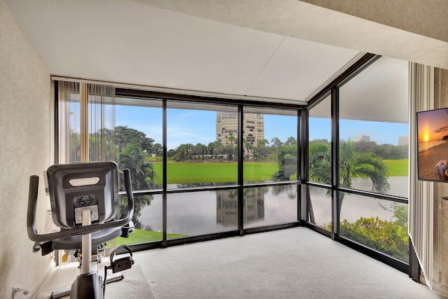 view of sunroom / solarium