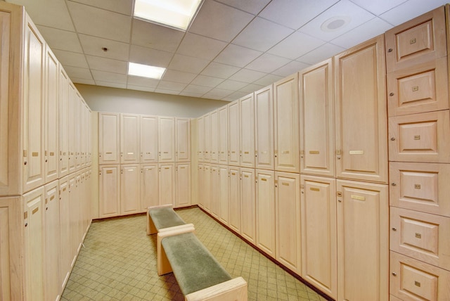 walk in closet featuring a paneled ceiling