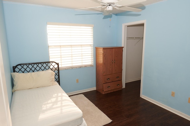 bedroom with ceiling fan, a closet, dark wood-type flooring, and a spacious closet