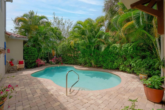 view of pool with a patio area