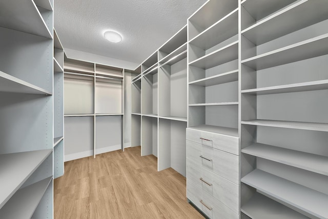 spacious closet featuring light wood-type flooring