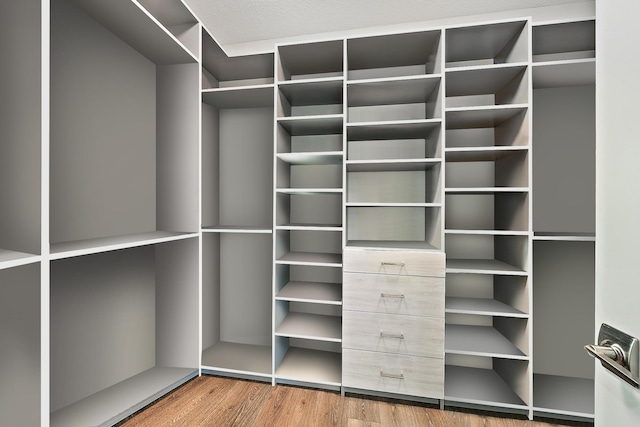 walk in closet featuring wood-type flooring