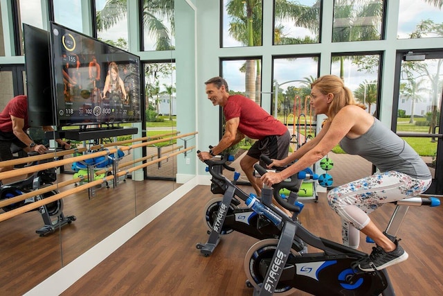 exercise room featuring a high ceiling and hardwood / wood-style flooring