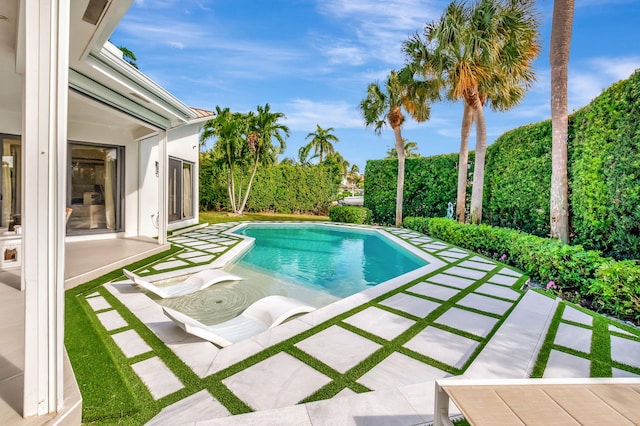 view of pool with a patio area