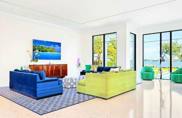 living room with ornamental molding