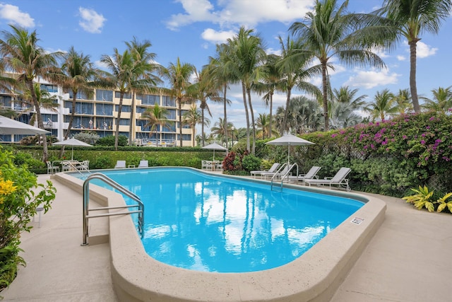 view of pool featuring a patio area