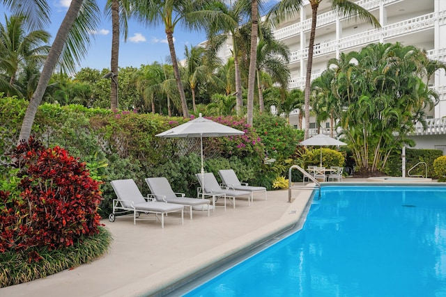 view of swimming pool with a patio area