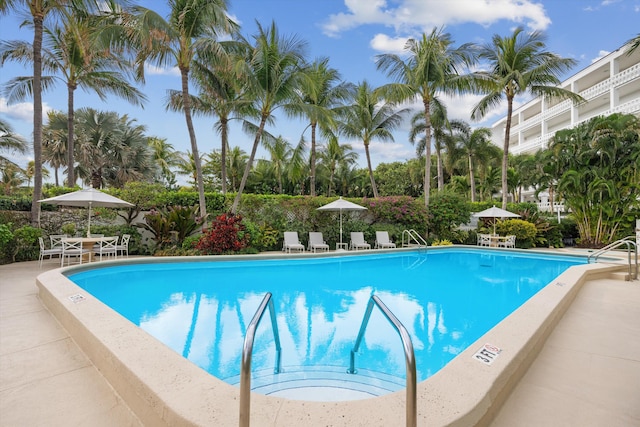 view of pool featuring a patio area