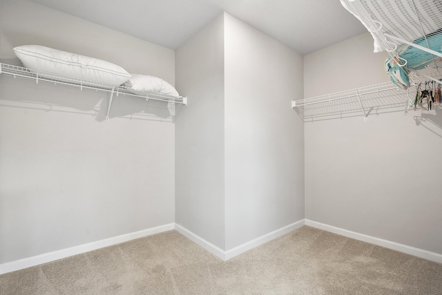 spacious closet with carpet flooring