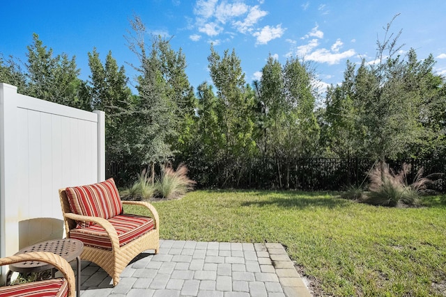 view of yard featuring a patio