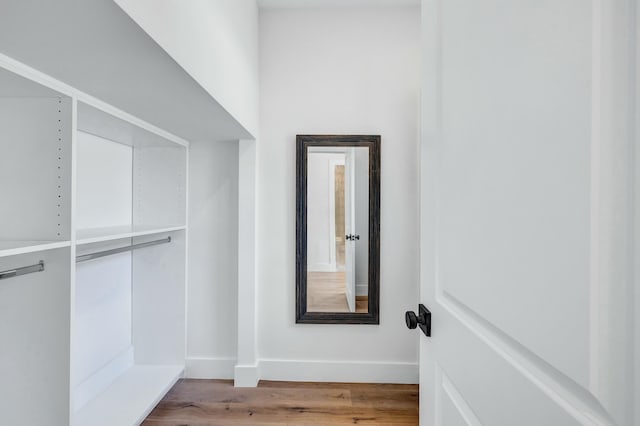 spacious closet featuring wood-type flooring