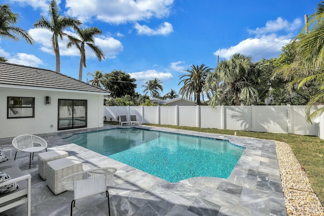 view of pool featuring a patio area